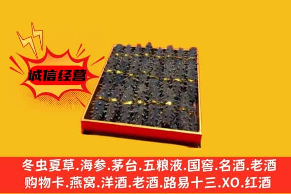 福州市闽侯回收海参